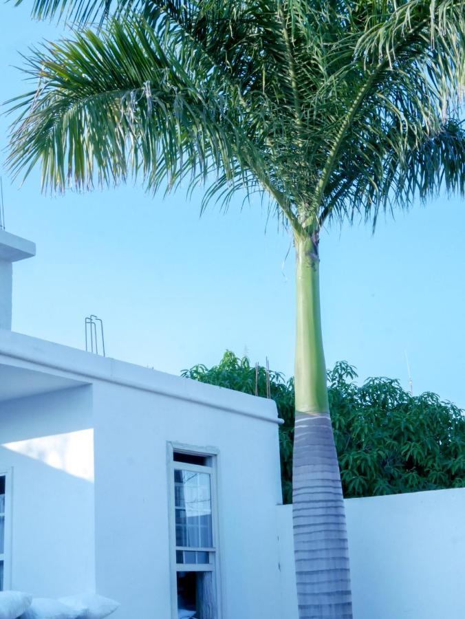 Hotel La Huerta Río Verde Exteriér fotografie